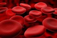 كريات الدم الحمراء وأهميتها في التحليلات