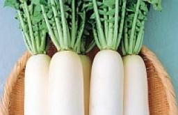 تمیز کردن و ذخیره سازی Daikon